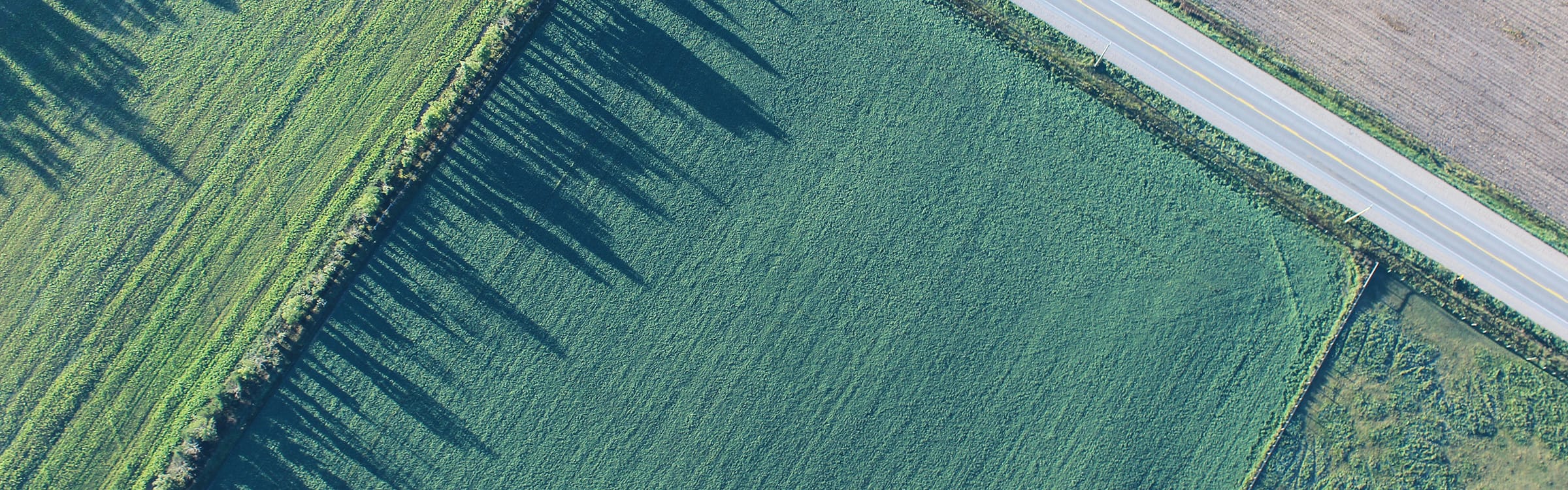Luftaufnahme von mit Bäumen und Hecken eingefassten grünen Feldern, Landstraße und Acker | GWM – Gesellschaft zur Weiterverwendung von Mineralstoffen – des Kreis Unna.